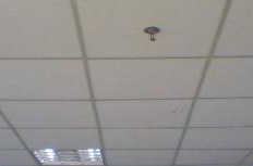 Gypsum Board